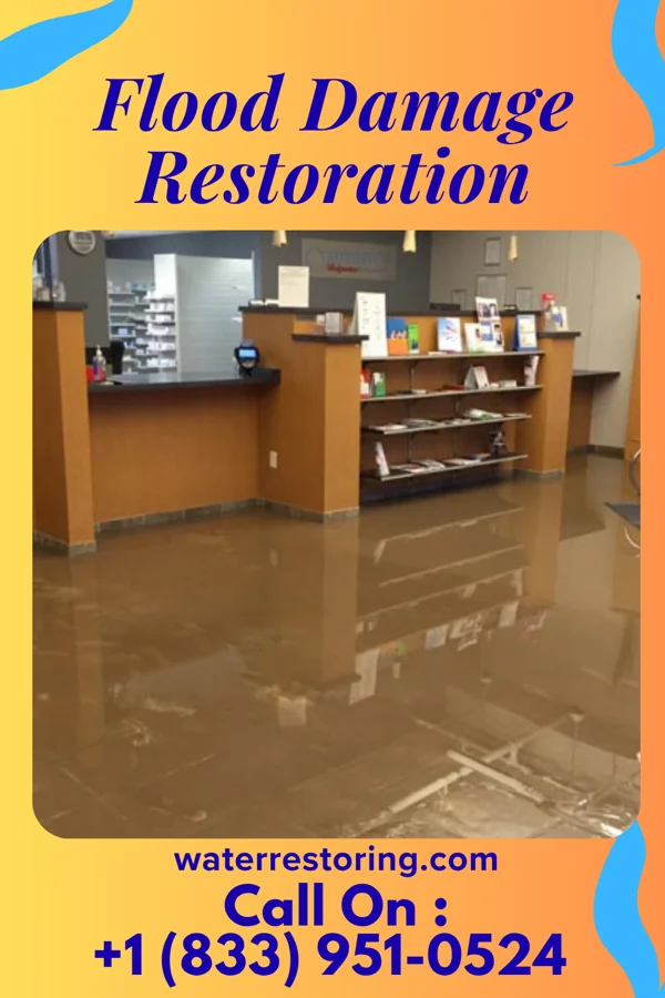 Flood Damage Restoration in Buck Run, PA