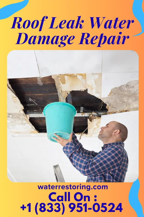 Roof Leak Water Damage Repair in Buck Run, PA