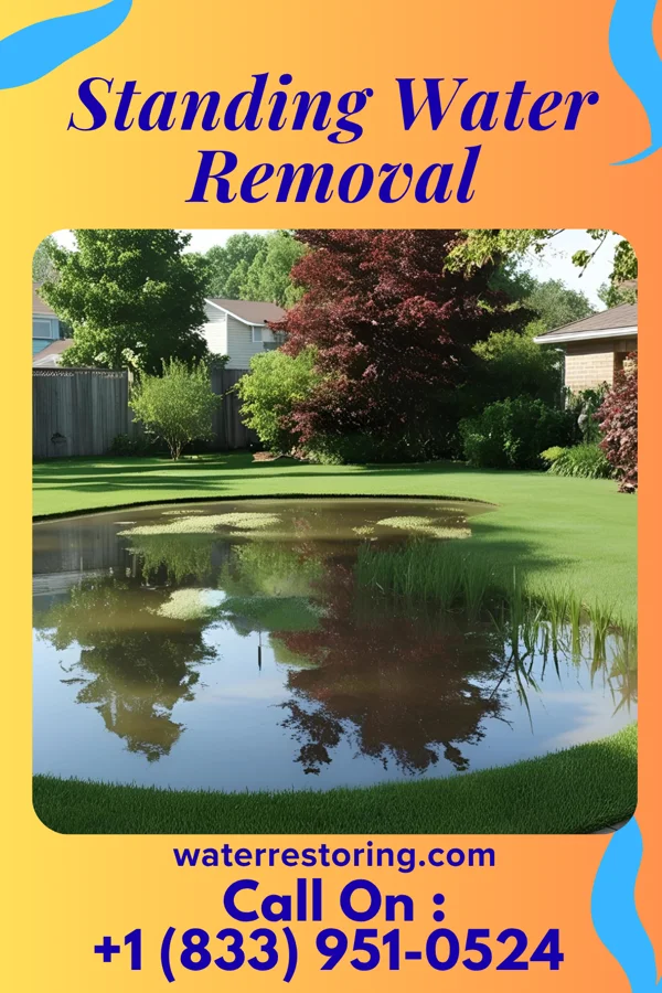 Standing Water Removal in Buck Run, PA